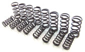 Dual racing springs for over .550